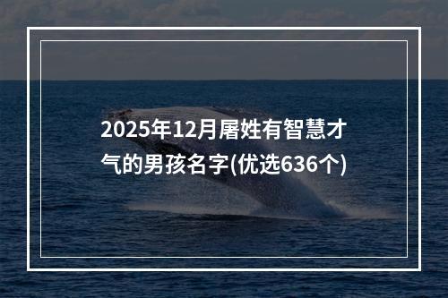 2025年12月屠姓有智慧才气的男孩名字(优选636个)