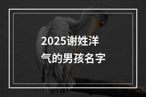 2025谢姓洋气的男孩名字