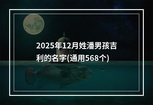 2025年12月姓潘男孩吉利的名字(通用568个)