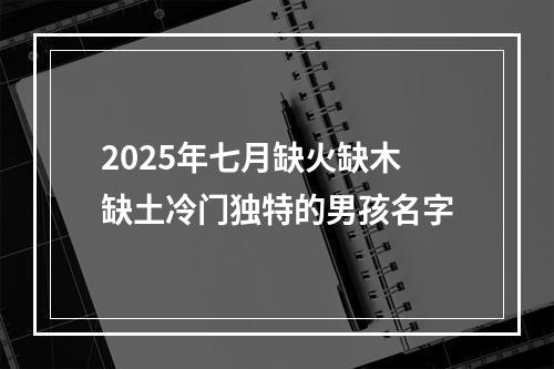 2025年七月缺火缺木缺土冷门独特的男孩名字