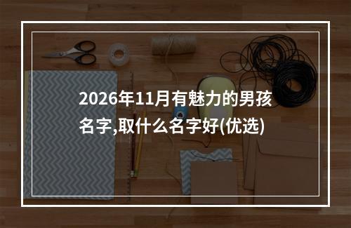 2026年11月有魅力的男孩名字,取什么名字好(优选)