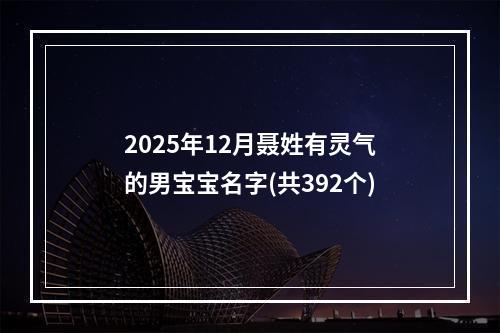 2025年12月聂姓有灵气的男宝宝名字(共392个)
