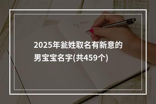 2025年瓮姓取名有新意的男宝宝名字(共459个)