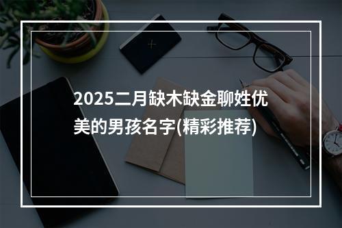 2025二月缺木缺金聊姓优美的男孩名字(精彩推荐)