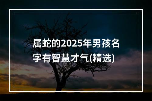 属蛇的2025年男孩名字有智慧才气(精选)