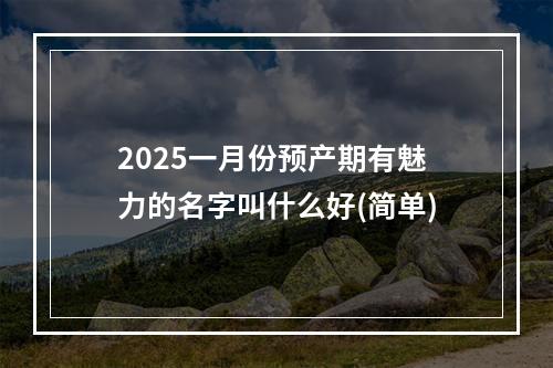 2025一月份预产期有魅力的名字叫什么好(简单)