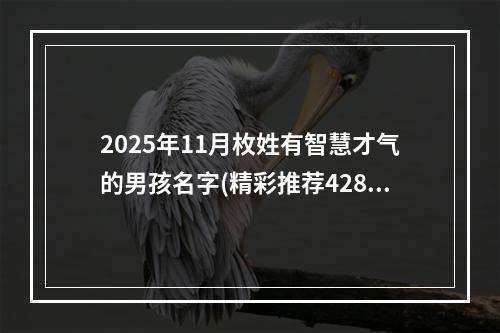 2025年11月枚姓有智慧才气的男孩名字(精彩推荐428个)