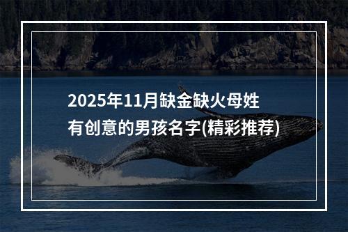 2025年11月缺金缺火母姓有创意的男孩名字(精彩推荐)