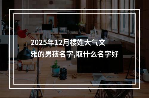 2025年12月楼姓大气文雅的男孩名字,取什么名字好
