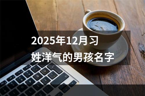 2025年12月习姓洋气的男孩名字