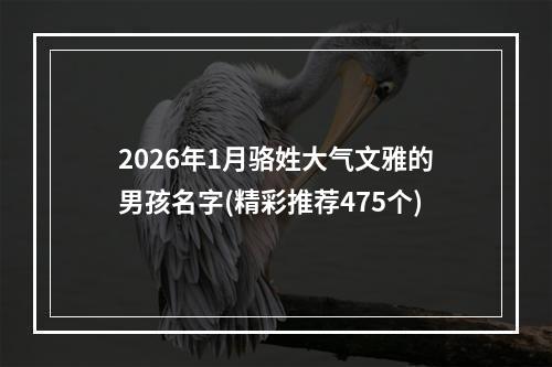 2026年1月骆姓大气文雅的男孩名字(精彩推荐475个)