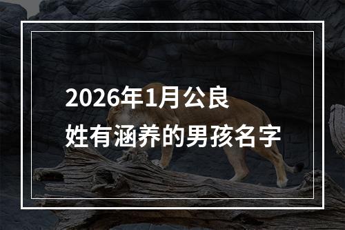 2026年1月公良姓有涵养的男孩名字