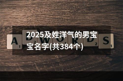 2025及姓洋气的男宝宝名字(共384个)