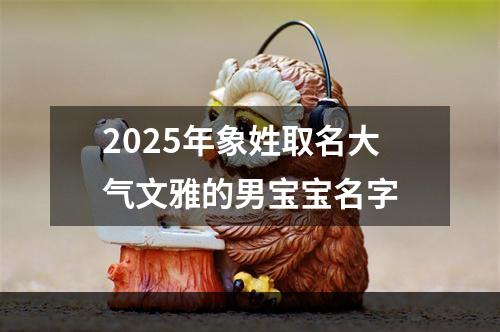 2025年象姓取名大气文雅的男宝宝名字