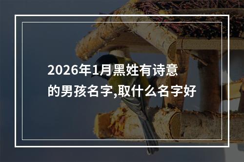 2026年1月黑姓有诗意的男孩名字,取什么名字好