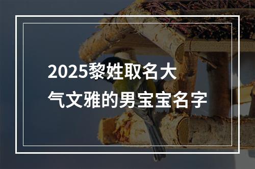 2025黎姓取名大气文雅的男宝宝名字