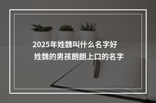 2025年姓魏叫什么名字好 姓魏的男孩朗朗上口的名字