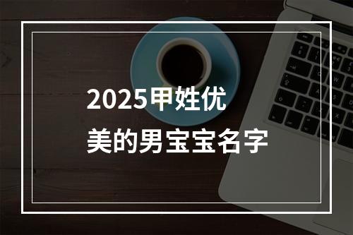 2025甲姓优美的男宝宝名字