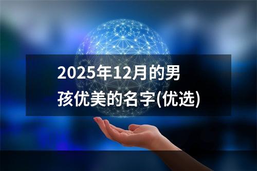 2025年12月的男孩优美的名字(优选)