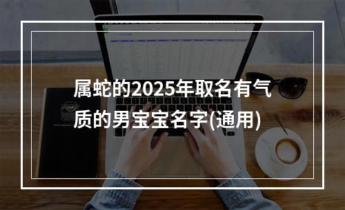 属蛇的2025年取名有气质的男宝宝名字(通用)