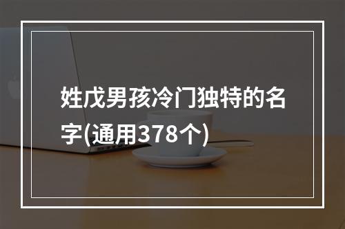 姓戊男孩冷门独特的名字(通用378个)