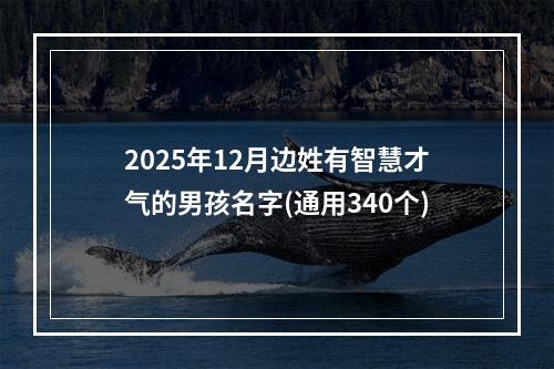2025年12月边姓有智慧才气的男孩名字(通用340个)