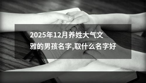 2025年12月养姓大气文雅的男孩名字,取什么名字好