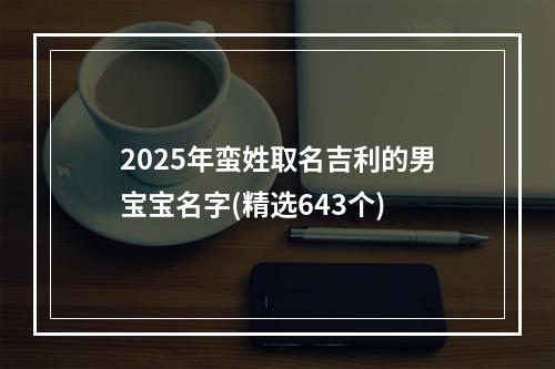 2025年蛮姓取名吉利的男宝宝名字(精选643个)