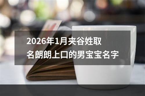2026年1月夹谷姓取名朗朗上口的男宝宝名字
