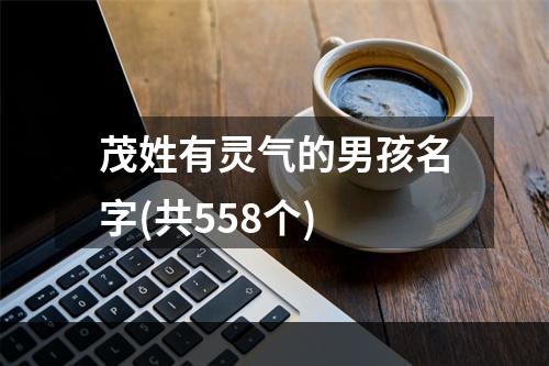 茂姓有灵气的男孩名字(共558个)