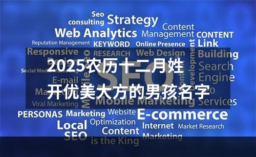 2025农历十二月姓开优美大方的男孩名字