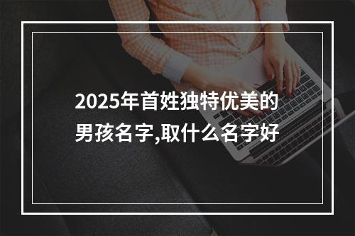 2025年首姓独特优美的男孩名字,取什么名字好