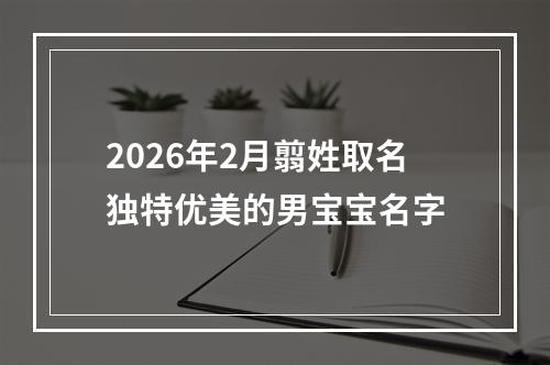 2026年2月翦姓取名独特优美的男宝宝名字