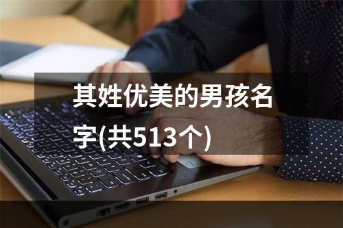 其姓优美的男孩名字(共513个)