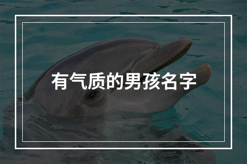 有气质的男孩名字