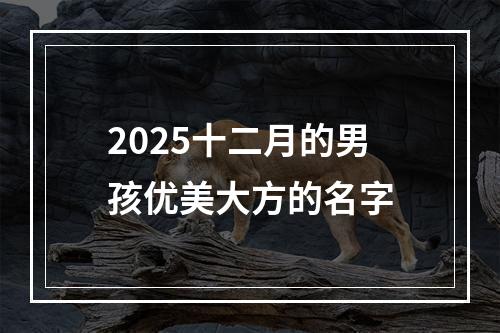 2025十二月的男孩优美大方的名字