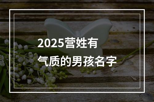 2025营姓有气质的男孩名字