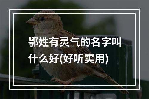 鄂姓有灵气的名字叫什么好(好听实用)