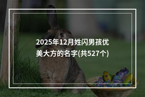 2025年12月姓闪男孩优美大方的名字(共527个)