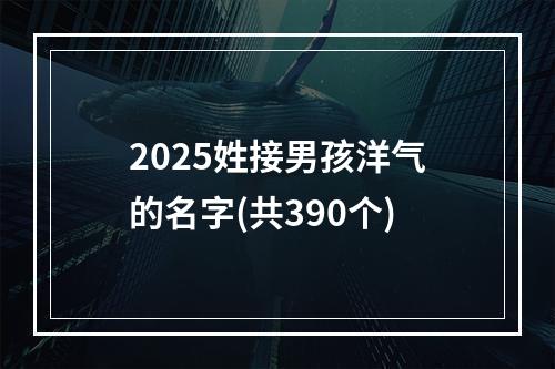 2025姓接男孩洋气的名字(共390个)