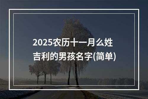 2025农历十一月么姓吉利的男孩名字(简单)