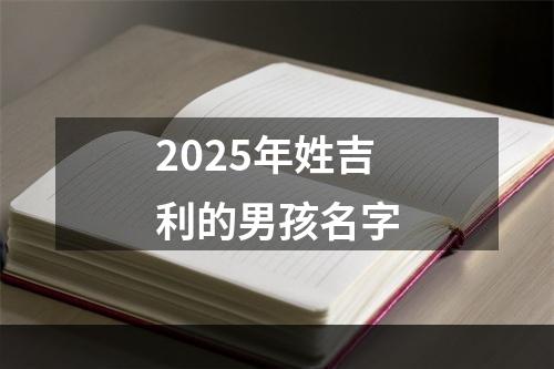 2025年姓吉利的男孩名字