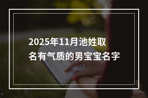 2025年11月池姓取名有气质的男宝宝名字