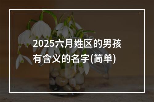 2025六月姓区的男孩有含义的名字(简单)