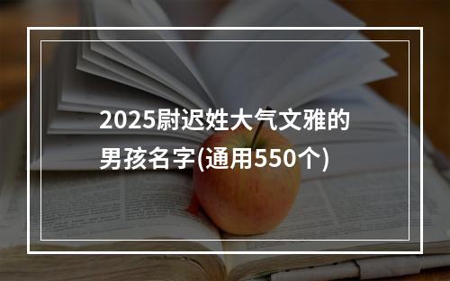 2025尉迟姓大气文雅的男孩名字(通用550个)