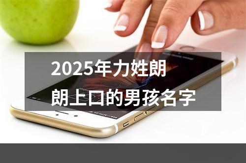 2025年力姓朗朗上口的男孩名字
