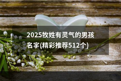 2025牧姓有灵气的男孩名字(精彩推荐512个)