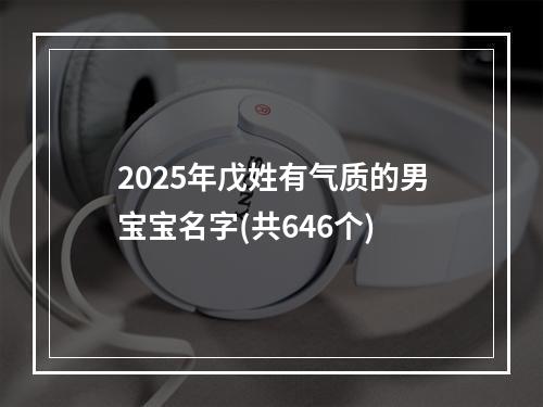 2025年戊姓有气质的男宝宝名字(共646个)