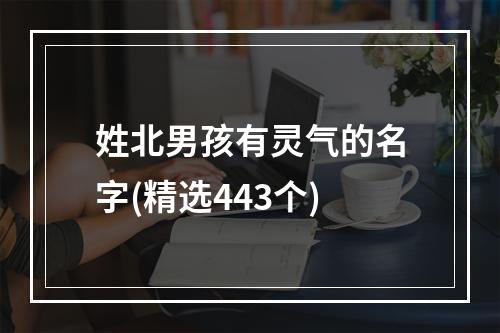 姓北男孩有灵气的名字(精选443个)