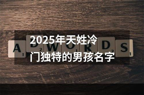 2025年天姓冷门独特的男孩名字